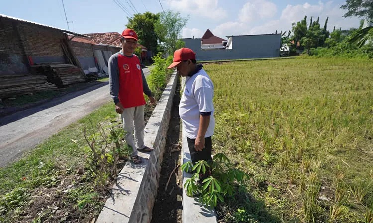 Sejumlah Perangkat Desa Sumberlele, Kecamatan Kraksaan, meninjau pembangunan irigasi di Dusun Kertoutomo. Sumber : Fahreza Nuraga/Radar Bromo