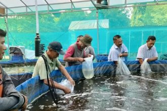 Pemdes Sooko menggagas usaha kebun sayur hidroponik dan budi daya ikan air tawar untuk menjaga ketahanan pangan. Sumber : indah/jprm