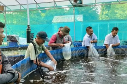 Pemdes Sooko menggagas usaha kebun sayur hidroponik dan budi daya ikan air tawar untuk menjaga ketahanan pangan. Sumber : indah/jprm