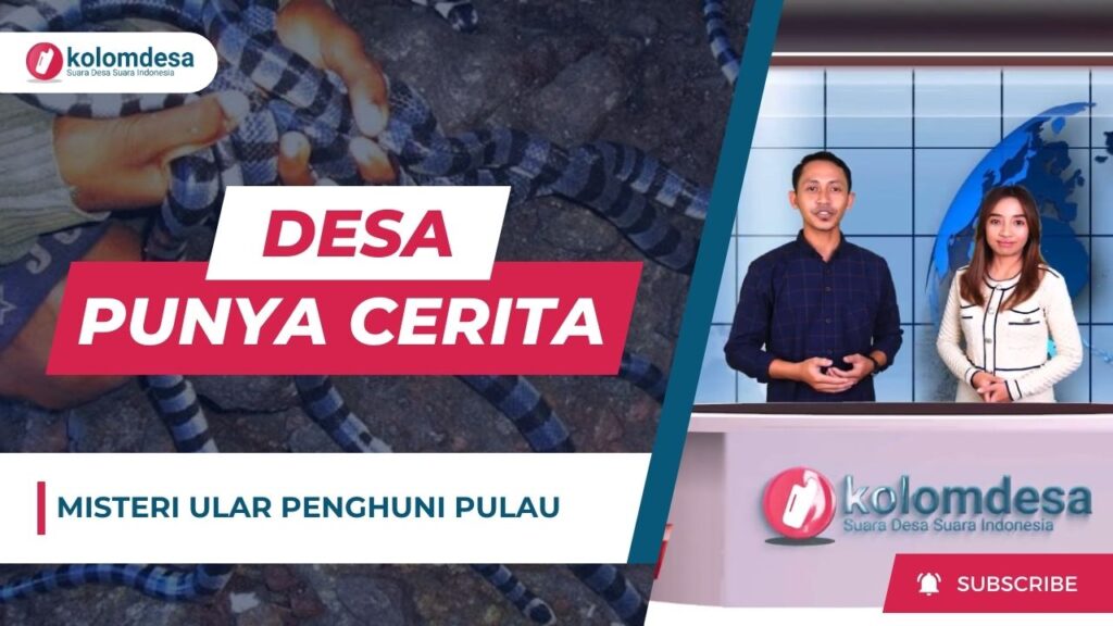 MISTERI ULAR PENGHUNI PULAU