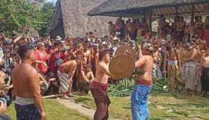 Tradisi perang pandan di Desa Tenganan Pegringsingan, Kecamatan Manggis, Kabupaten Karangasem, Bali. Sumber: Topikterkini.com