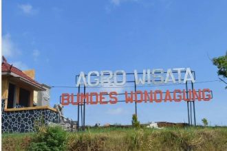 Agrowisata BUM Desa Desa Asha Wiyakta di Desa Wonoagung, Kecamatan Kasembon, Kabupaten Malang.