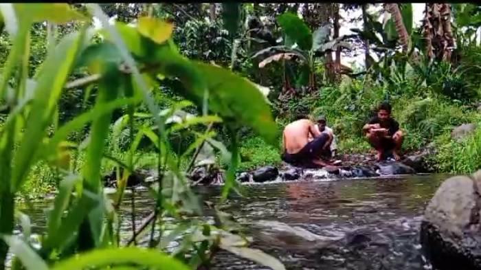 Mata air lemor yang berada di Dusun Tibujukung, Desa Suela, Kecamatan Suela, Lombok timur. Sumber Foto: Istimewa