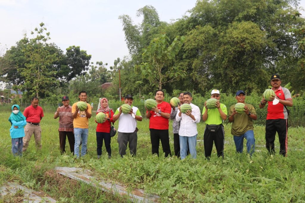 Wisata petik Semangka bersama Bupati Blora Sumberfoto: X@masariefrohman