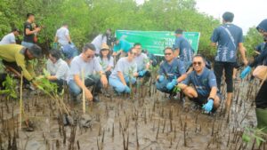 Foto Penanaman Bibit Pohon Mangrove di Pesisir Pantai Desa Tiwoho, Sumber Foto: Istimewa