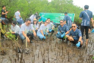 Foto Penanaman Bibit Pohon Mangrove di Pesisir Pantai Desa Tiwoho, Sumber Foto: Istimewa