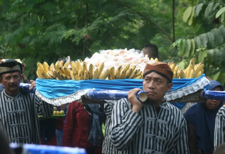 Tradisi Wiwit dan Animo Budaya Kopi di Desa Banyuanyar