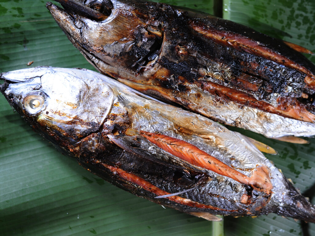 Ikan Asar, Sajian Khas Papua yang Menggugah Selera. Sumber: Istimewa