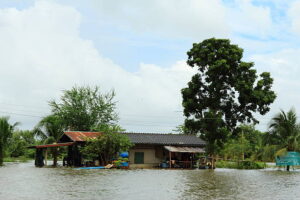 Ilutsrasi Banjir Rendam 52 Rumah Warga Desa Rejeki, Sumber Foto: Istock