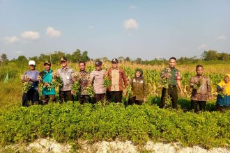 Kegiatan panen raya di Desa Air Lengit. Sumber: rri.co.id