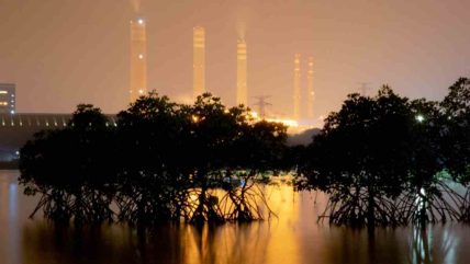 BUM Desa Binor Energi Cuan Ratusan Juta Lewat Unit Wisata Pantai Bohai