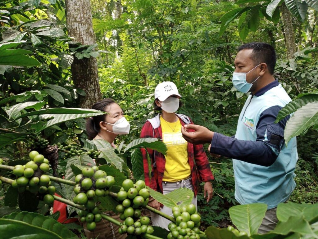 Kampung Kopi Gombengsari, Desa Wisata Segudang Potensi