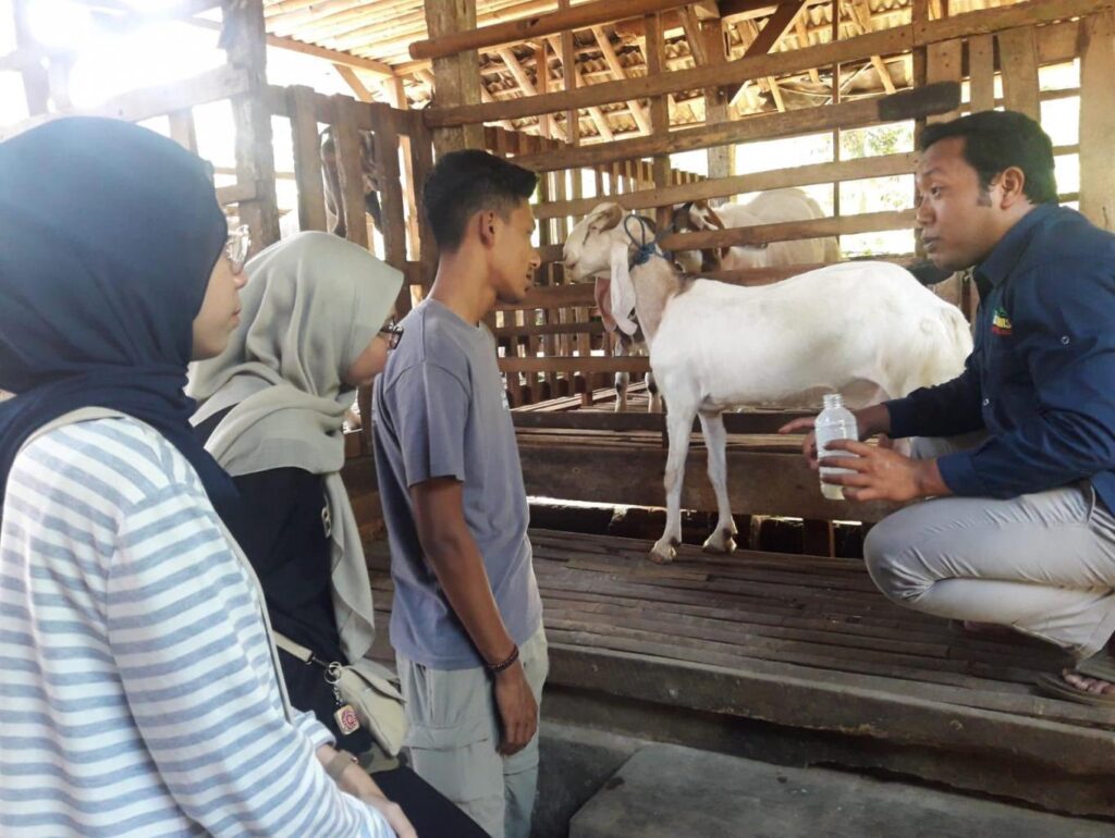 Kampung Kopi Gombengsari, Desa Wisata Segudang Potensi