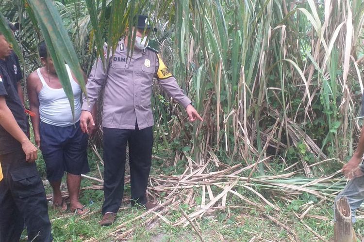 Lokasi Penemuan Jasad Kades Serang Ginting Kahan. Sumber Foto: Dok Polsek Kotarih