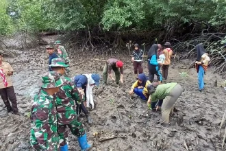 Beberapa elemen masyarakat dan APDESI Sulteng melakukan penanaman Pohon Mangrove. Sumber: Istimewa
