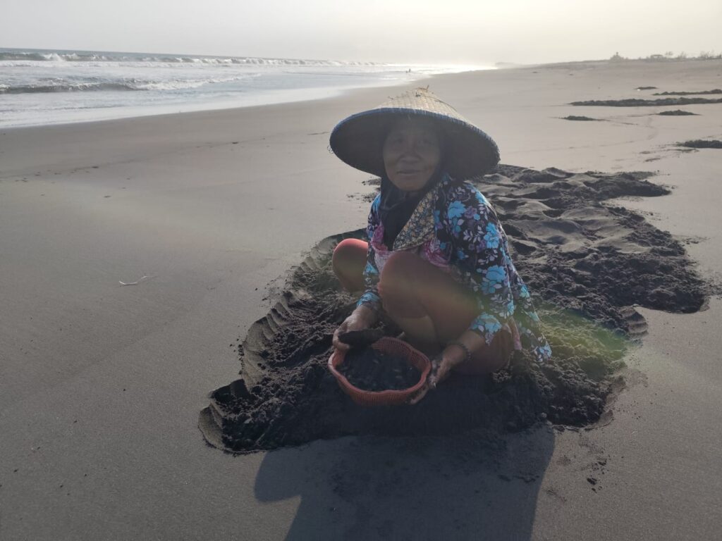 Suyati saat mencari kerang hitam di Pantai Selatan. Sumber foto : Dok. Pribadi