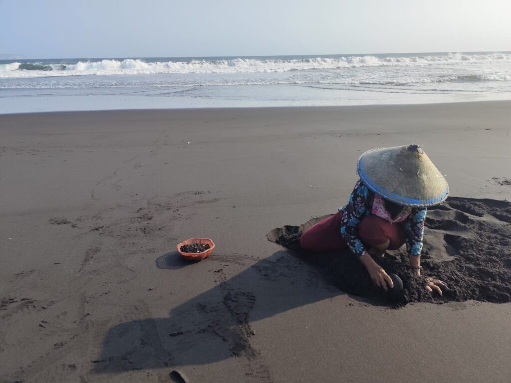 Suyati, Kerang Hitam dan Keunikan Warga Paseban Saat Mencarinya