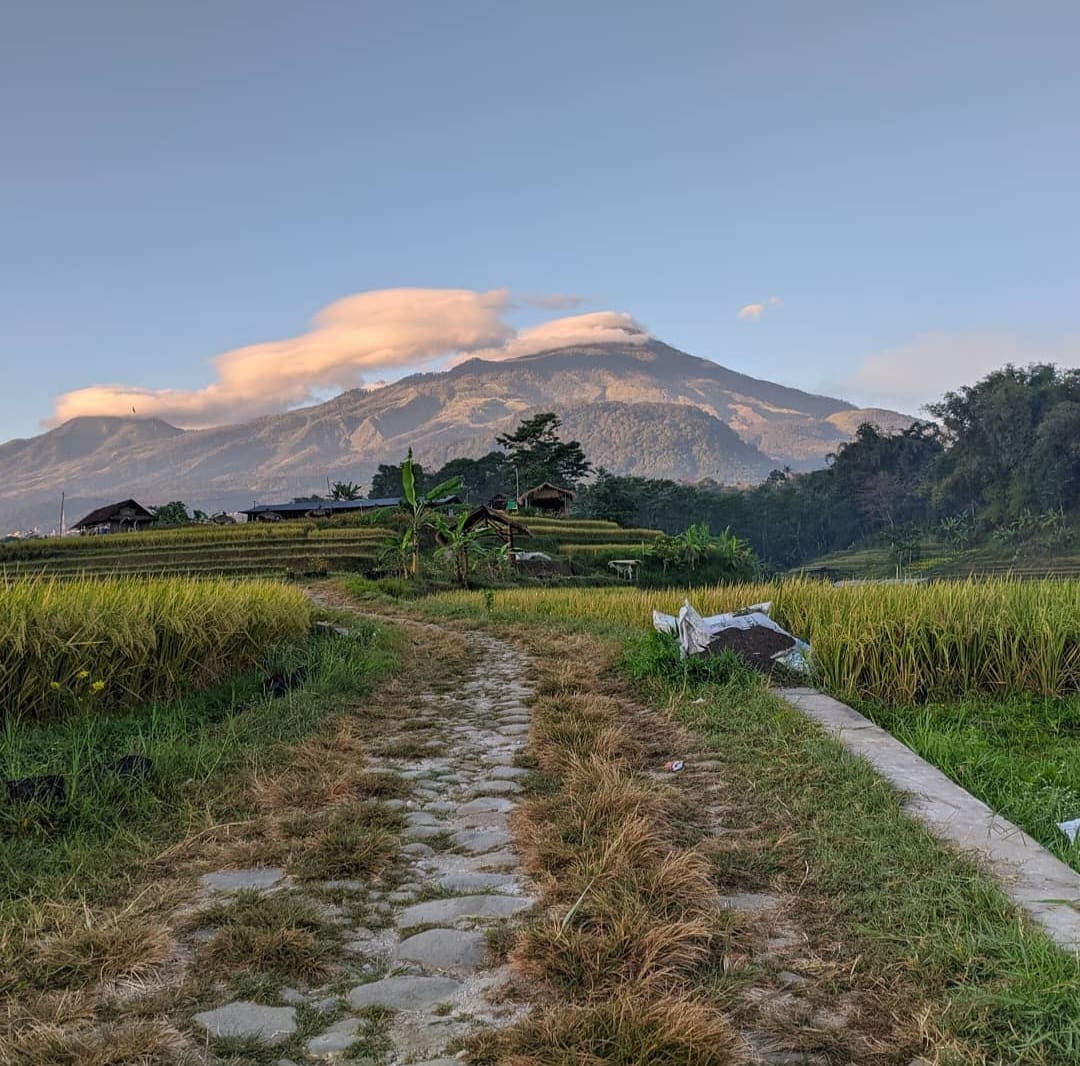 Lanskap pemandangan Gunung Penanggungan dan Gunung Welirang yang bisa dilihat di Desa Wisata Penanggungan. Sumber Foto: Instagram kampung_organik_brenjonk.