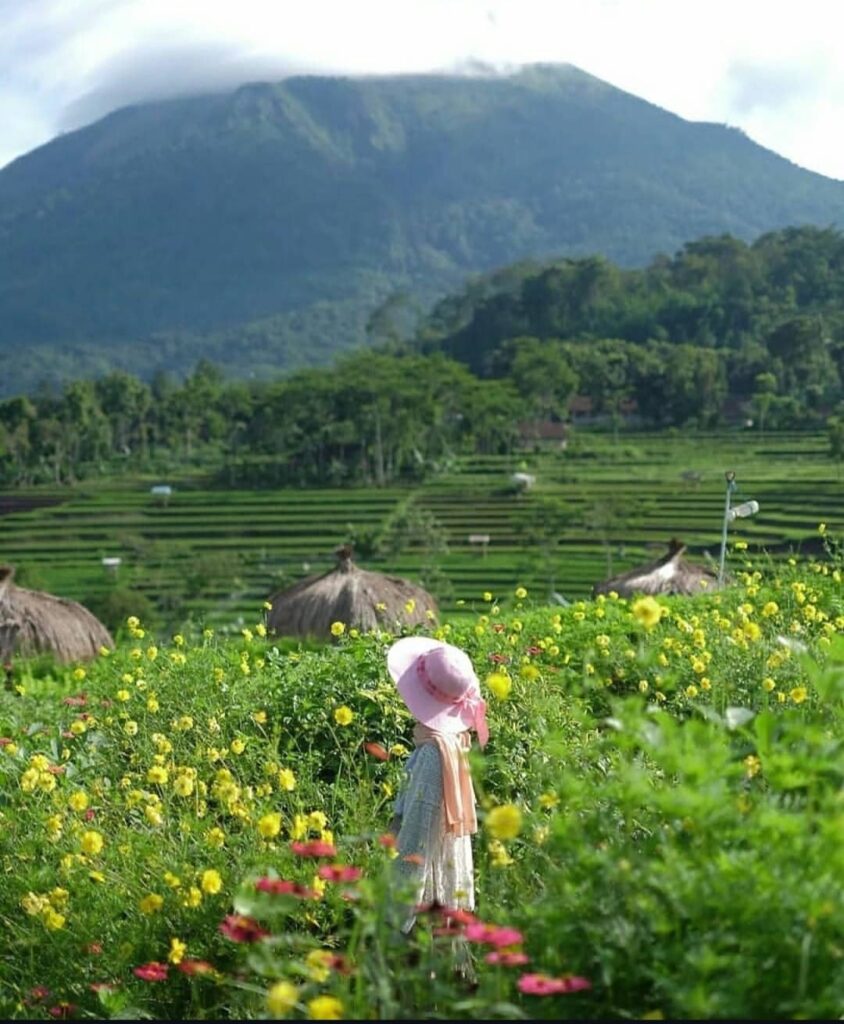 Lembah Kecubung dan Kampung Organik Brenjonk: Daya Tarik Desa Wisata Penanggungan