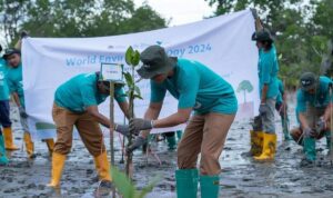 Proses penanaman ribuan bibit bakau di area pesisir Desa Totobo, Kecamatan Pomalaa, Kolaka, Sumber Foto: Humas PT Vale.