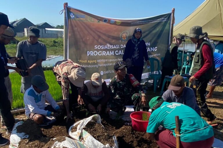 Pelatihan budidaya padi apung oleh mahasiswa Unhas kepada masyarakat (Petani) Desa Moncongloe. Sumber Foto: Istimewa.