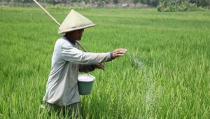 Ketahanan Pangan dari Desa untuk Indonesia. Sumber foto: pertanian.go.id