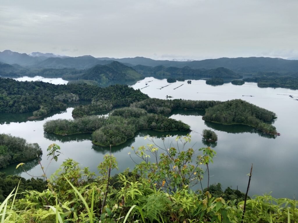 Desa Wisata Kampung Patin: Menggali Potensi Lokal Melalui Edukasi dan Pariwisata