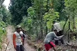 Warga Desa Tanjung Iman saat melakukan perbaikan jalan secara Swadaya. Sumber Foto: Dok. harianoku-selatan.id