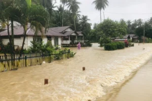 Situasi Rumah yang Terendam Banjir di Kecamatan Moilong, Kabupaten Banggai, Sumber Foto: BPBD Sulteng.