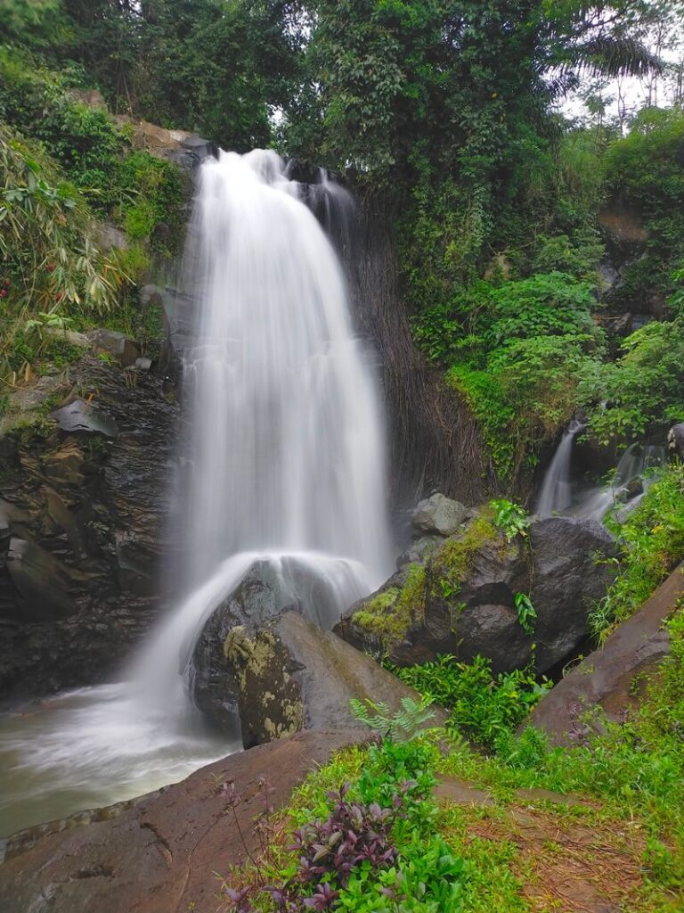 Lembah Kecubung dan Kampung Organik Brenjonk: Daya Tarik Desa Wisata Penanggungan