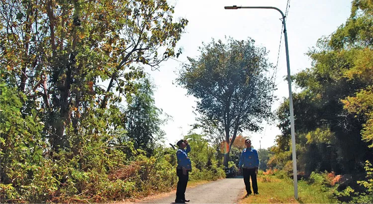 Kepala Desa Pohsangit Ngisor Nijar meninjau hasil pemasangan PJU di jalan Dusun Krasak. Pengadaan PJU ini dialokasikan dari dana desa tahap pertama 2024. Sumber : radarbromo.jawapos.com