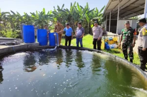 Kepala Desa Sumberagung Shodiqin didampingi Camat Peterongan M. Eryk Arif dan jajaran Forkopimcam Peterongan meninjau kolam ikan. Sumber : Anggi Fridianto/Radar Jombang