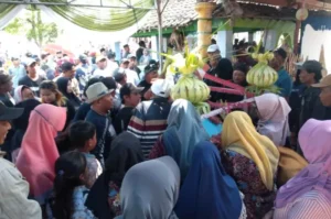 URI-URI BUDAYA: Warga Desa Turipinggir Kecamatan Megaluh saat berebut makanan usai dikirab. Sumber : Anggi Fridianto/radarjombang