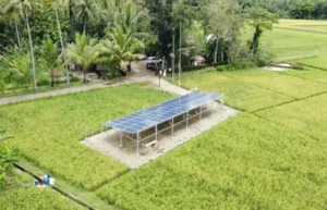 Panel surya di Desa Krandegan untuk jalankan sistem pengairan sawah di desanya. Sumber : radarpurworejo.jawapos.com