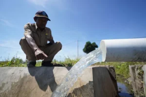 Kepala Desa Sekarkare Senadi melihat aliran air dari pompa sible di area persawahan Desa Sekarkare, Probolinggo. Sumber : radarbromo.jawapos.com