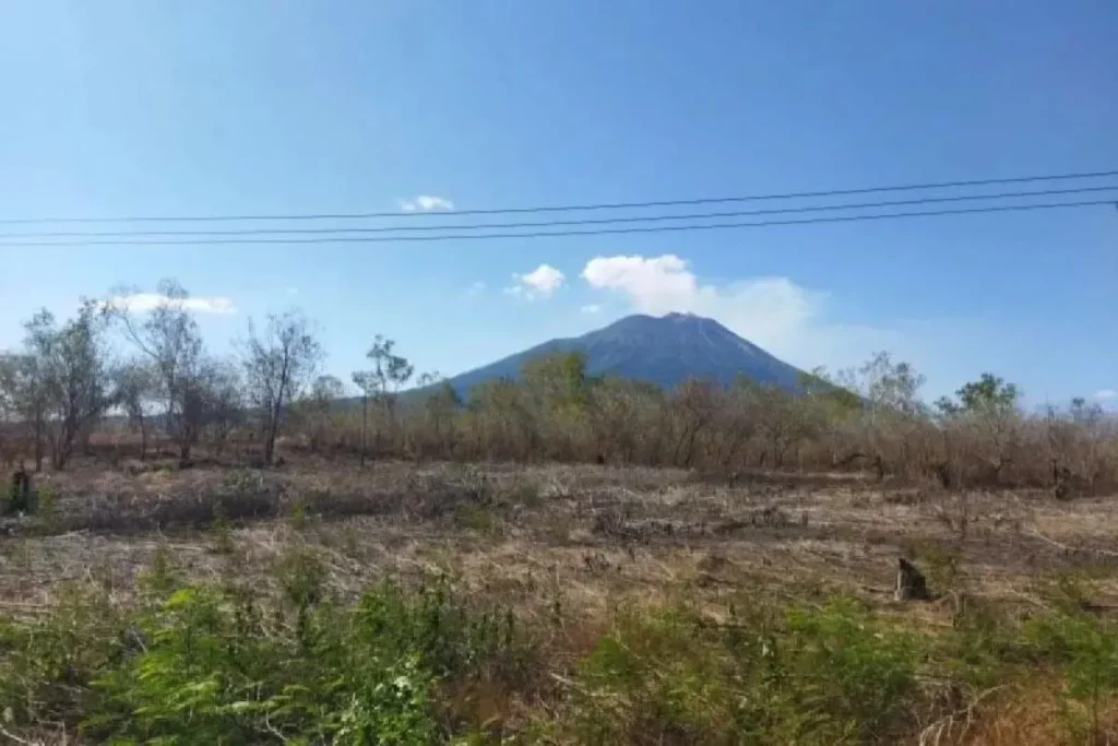 Ilustrasi Lahan kering di Kota Lewoleba, Kabupaten Lembata. Sumber: antaranews.com