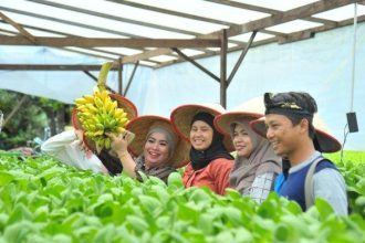 Kegiatan di Desa Batulicin Irigasi, Desa wisata yang mengusung tema agrotechnopark mengungguli desa wisata lain yang ada pulau Kalimantan.