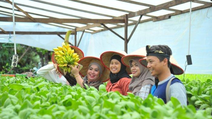 Kegiatan di Desa Batulicin Irigasi, Desa wisata yang mengusung tema agrotechnopark mengungguli desa wisata lain yang ada pulau Kalimantan.