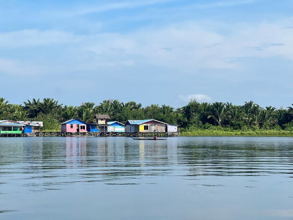 Kisah Pelestarian Sagu dari Kampung Yoboi: Menjaga Warisan, Membangun Masa Depan