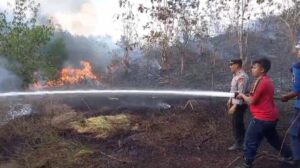 Karhutla terjadi di perbukitan Balai Peresmian Mandalika, Desa Rembitan, Kecamatan Pujut, Lombok Tengah.