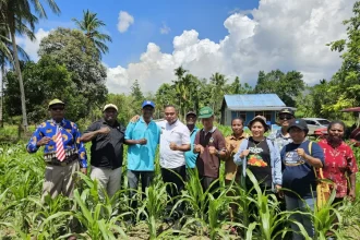 Pj. Bupati Jayapura, Triwarno Purnomo saat melakukan tanam perdana jagung di Kampung Kuipons, Distrik Nimboran, Kamis (1/8/2024). Sumber: Dok. Lintas Papua