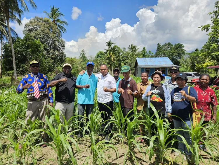 Pj. Bupati Jayapura, Triwarno Purnomo saat melakukan tanam perdana jagung di Kampung Kuipons, Distrik Nimboran, Kamis (1/8/2024). Sumber: Dok. Lintas Papua