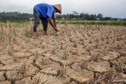 iluatrasi Tanah Kekeringan : istockphoto