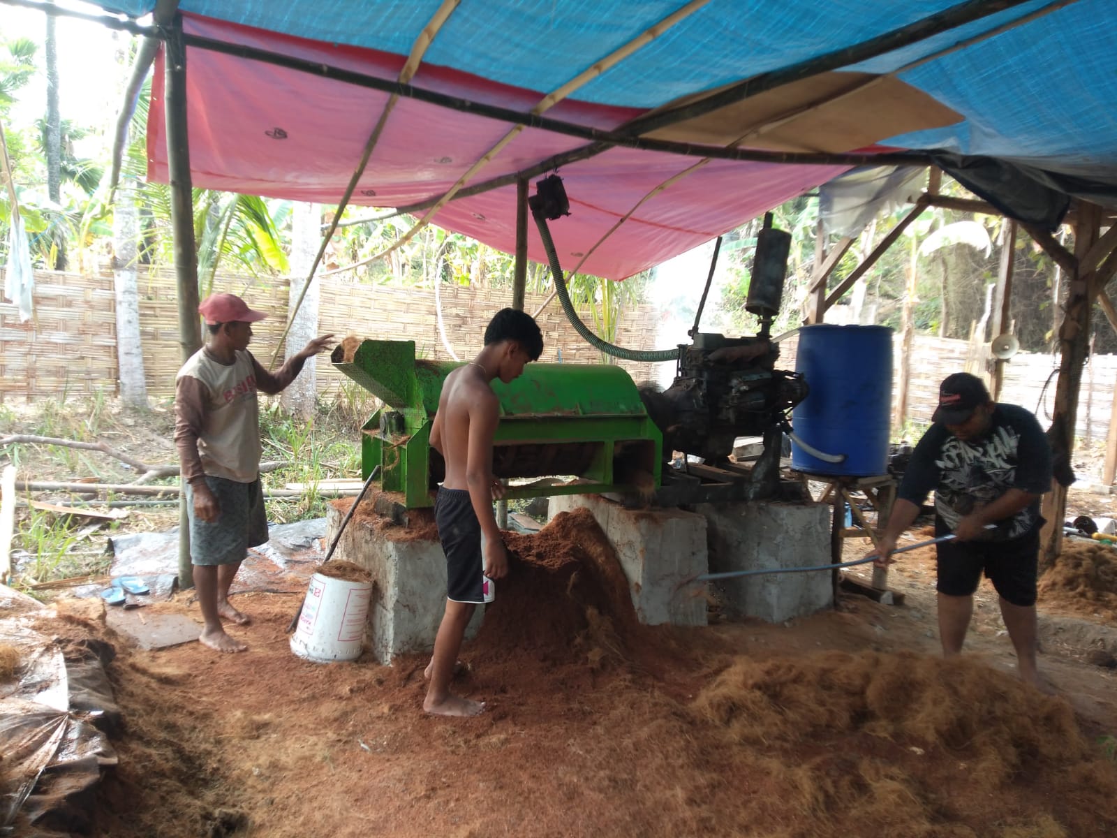 Mengubah Polusi Jadi Potensi: Sabut Kelapa Desa Gagah Tembus Pasar Internasional