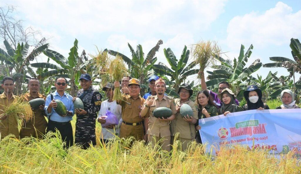 Kepala Desa Pulau Telo Baru M. Bob Mahaputra melakukan panen padi di desa setempat.