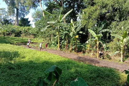 DIGARAP: Sejumlah pekerja menggarap pembangunan irigasi di Dusun Kramatjati, Desa Selogudig Kulon, Kecamatan Pajarakan. Sumber : Pemerintah Desa Selogudig Kulon/radarbromo.jawapos.com