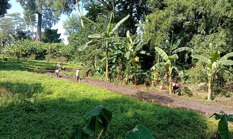 DIGARAP: Sejumlah pekerja menggarap pembangunan irigasi di Dusun Kramatjati, Desa Selogudig Kulon, Kecamatan Pajarakan. Sumber : Pemerintah Desa Selogudig Kulon/radarbromo.jawapos.com