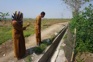 Kepala Desa Janti Siti Mahmudah menunjukkan lokasi pembangunan drainase di Dusun Kagulan yang telah selesai dikerjakan oleh TPK Desa Janti. Sumber : Dwi Aris S/Radar Jombang