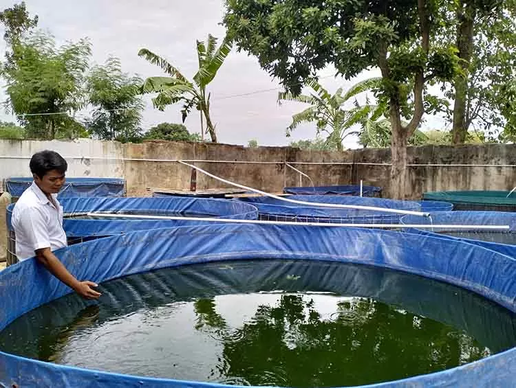 Kepala Dusun Darungan Riski Andrianto melihat lele yang dibesarkan dalam kolam di RT 2/RW 1, Dusun Darungan. Sumber : radarbromo.jawapos.com