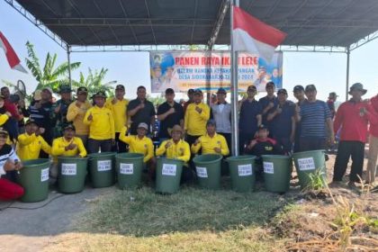 Pemdes Sidoraharjo, Kecamatan Kedamean menggelar panen raya ikan patin. Sumber : gresik.inews.id